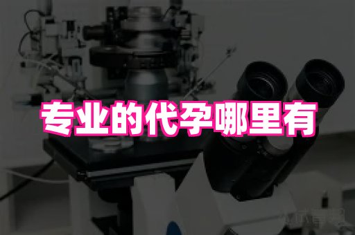 成都助孕网站 1